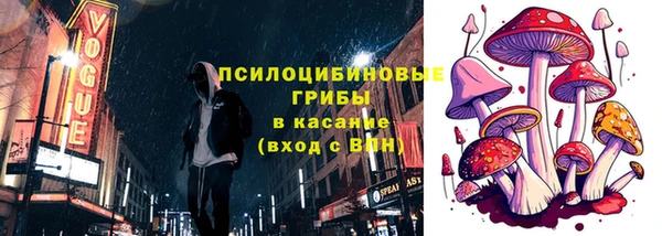 a pvp Аркадак