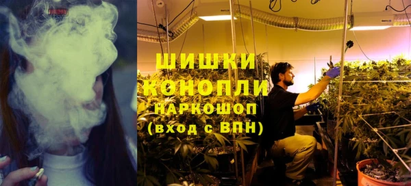 ГАЛЛЮЦИНОГЕННЫЕ ГРИБЫ Арсеньев