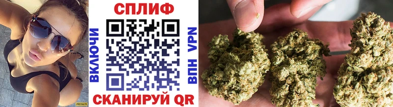 где продают наркотики  Сокол  Каннабис индика 